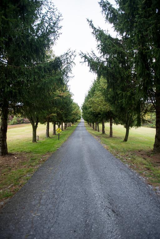 Antietam Overlook Farm Rohrersville Bagian luar foto